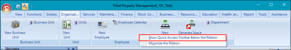 Show Quick Access Toolbar Below the Ribbon option