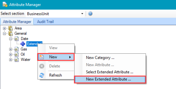 Attribute Manager, New Extended Attribute