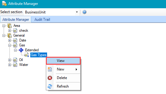 Attribute Manager, View selected option.
